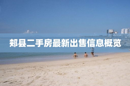 郏县二手房最新出售信息概览
