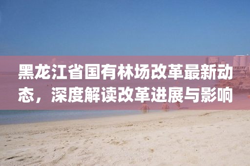 黑龙江省国有林场改革最新动态，深度解读改革进展与影响
