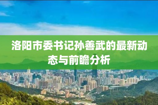 洛阳市委书记孙善武的最新动态与前瞻分析