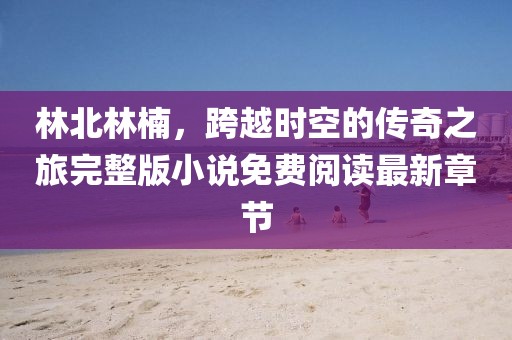 林北林楠，跨越时空的传奇之旅完整版小说免费阅读最新章节