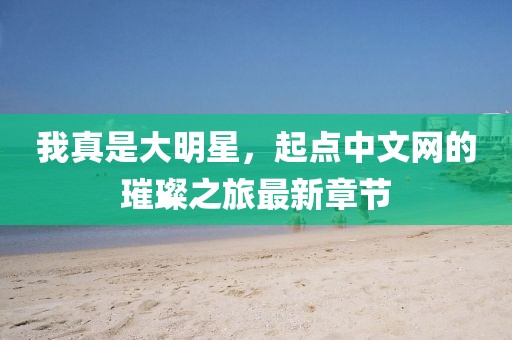 我真是大明星，起点中文网的璀璨之旅最新章节