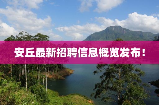安丘最新招聘信息概览发布！