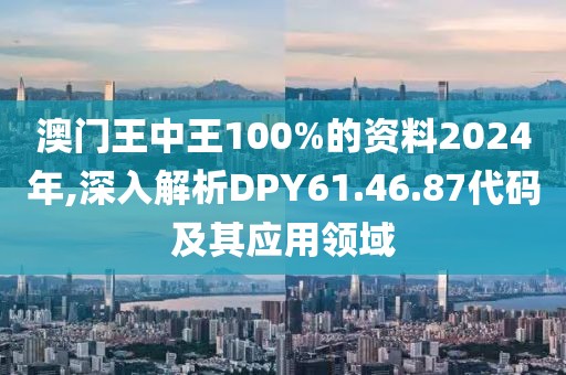 澳门王中王100%的资料2024年,深入解析DPY61.46.87代码及其应用领域