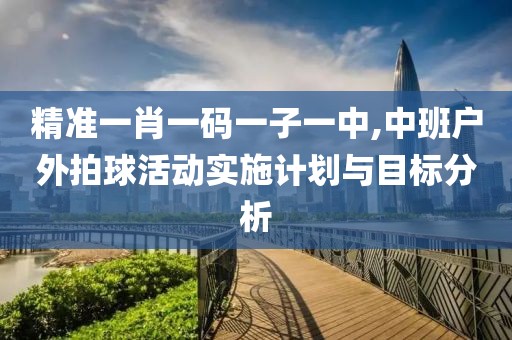 精准一肖一码一子一中,中班户外拍球活动实施计划与目标分析
