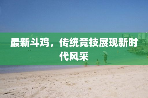 最新斗鸡，传统竞技展现新时代风采