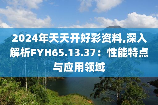 2024年天天开好彩资料,深入解析FYH65.13.37：性能特点与应用领域