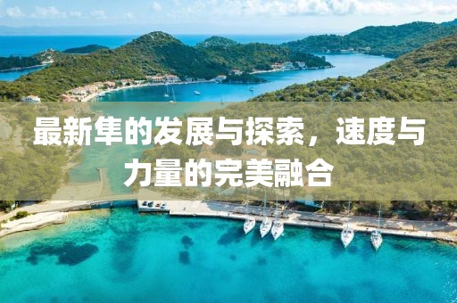 最新隼的发展与探索，速度与力量的完美融合