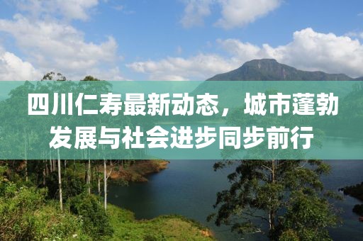 四川仁寿最新动态，城市蓬勃发展与社会进步同步前行