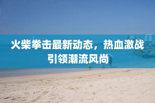 火柴拳击最新动态，热血激战引领潮流风尚