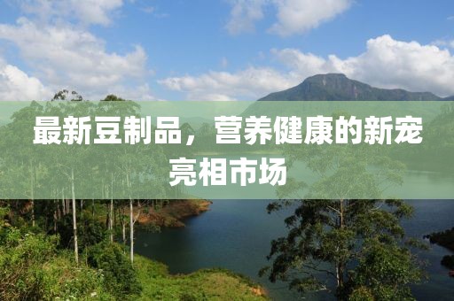 最新豆制品，营养健康的新宠亮相市场
