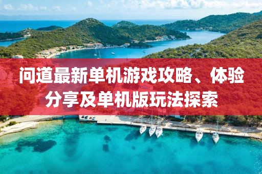 问道最新单机游戏攻略、体验分享及单机版玩法探索