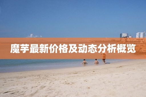 魔芋最新价格及动态分析概览