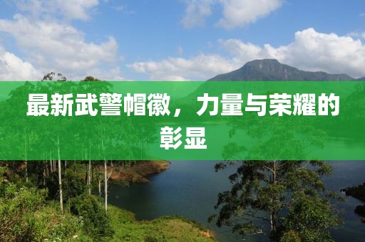 最新武警帽徽，力量与荣耀的彰显