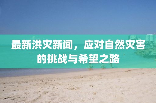 最新洪灾新闻，应对自然灾害的挑战与希望之路