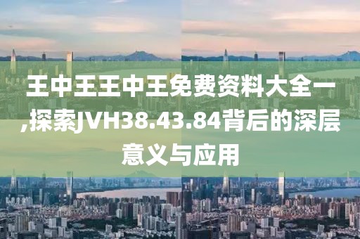 王中王王中王免费资料大全一,探索JVH38.43.84背后的深层意义与应用