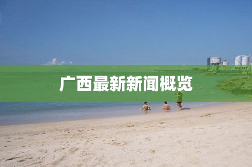 广西最新新闻概览