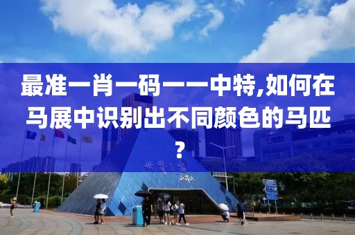 最准一肖一码一一中特,如何在马展中识别出不同颜色的马匹？
