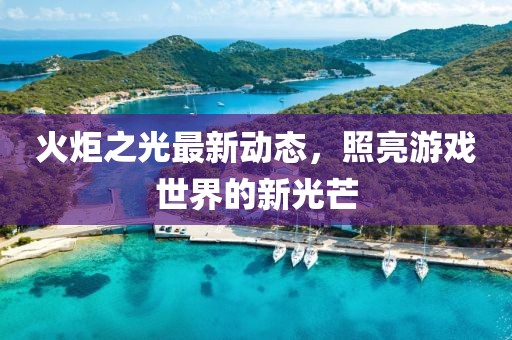 火炬之光最新动态，照亮游戏世界的新光芒
