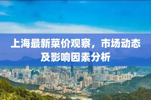 上海最新菜价观察，市场动态及影响因素分析