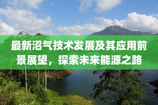 最新沼气技术发展及其应用前景展望，探索未来能源之路