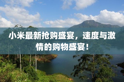 小米最新抢购盛宴，速度与激情的购物盛宴！