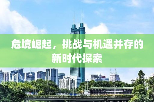 危境崛起，挑战与机遇并存的新时代探索