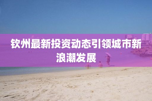 钦州最新投资动态引领城市新浪潮发展