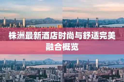 株洲最新酒店时尚与舒适完美融合概览