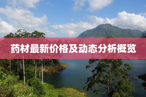 药材最新价格及动态分析概览