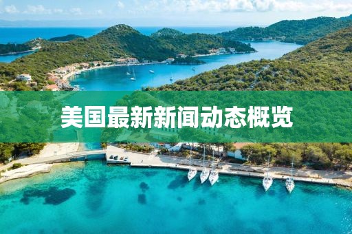 美国最新新闻动态概览