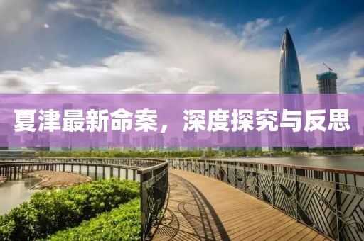 夏津最新命案，深度探究与反思
