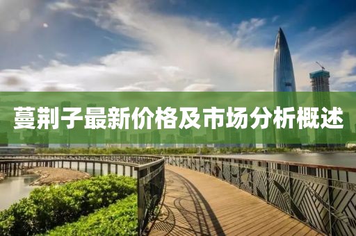 蔓荆子最新价格及市场分析概述