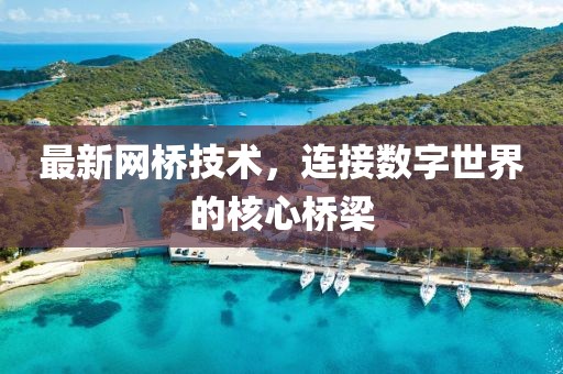 最新网桥技术，连接数字世界的核心桥梁