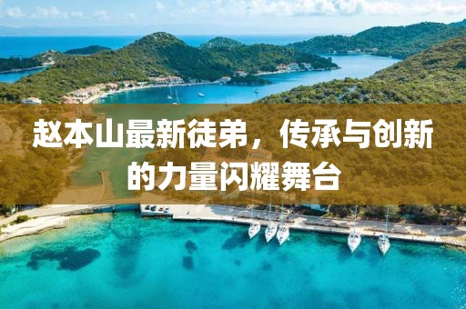 赵本山最新徒弟，传承与创新的力量闪耀舞台