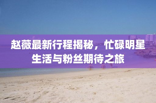 赵薇最新行程揭秘，忙碌明星生活与粉丝期待之旅