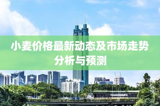 小麦价格最新动态及市场走势分析与预测