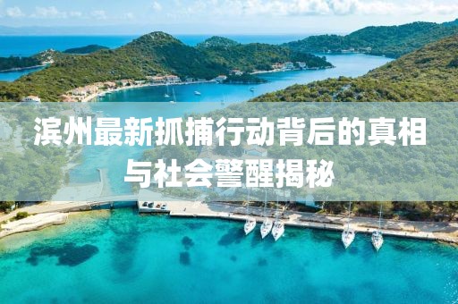 滨州最新抓捕行动背后的真相与社会警醒揭秘