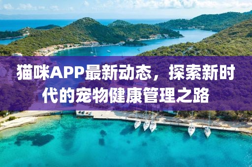 猫咪APP最新动态，探索新时代的宠物健康管理之路