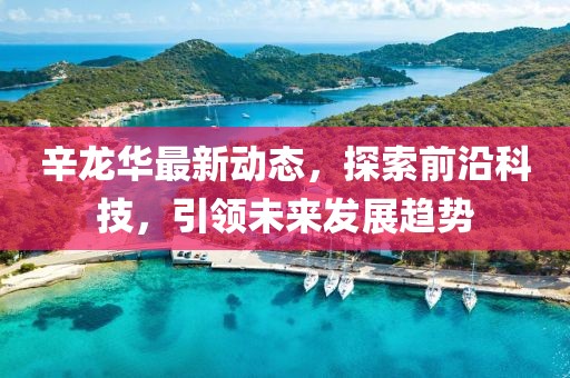辛龙华最新动态，探索前沿科技，引领未来发展趋势