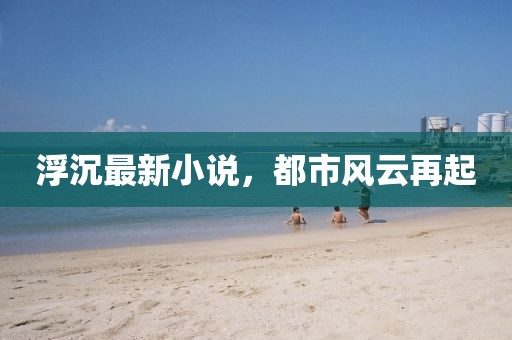 浮沉最新小说，都市风云再起