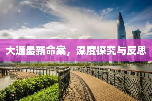 大通最新命案，深度探究与反思
