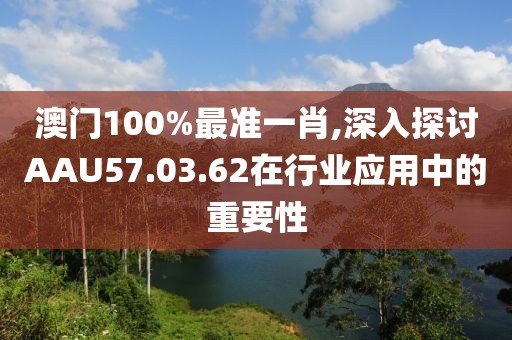 澳门100%最准一肖,深入探讨AAU57.03.62在行业应用中的重要性