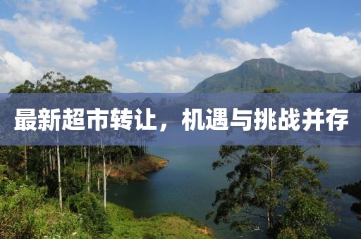 最新超市转让，机遇与挑战并存