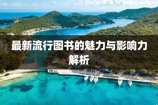 最新流行图书的魅力与影响力解析