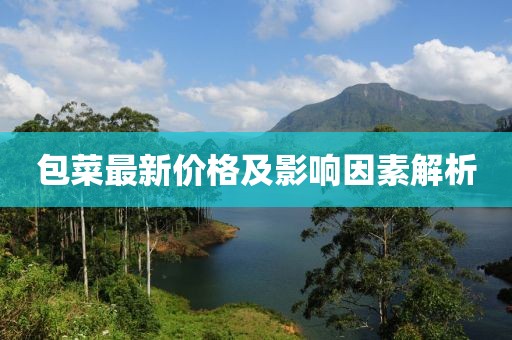 包菜最新价格及影响因素解析