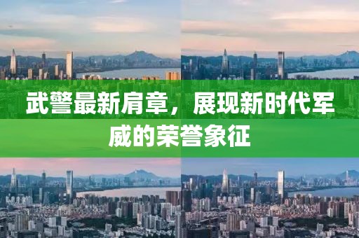 武警最新肩章，展现新时代军威的荣誉象征