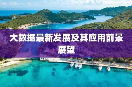 大数据最新发展及其应用前景展望