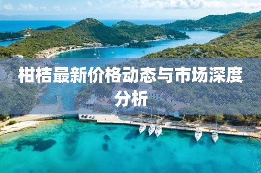 柑桔最新价格动态与市场深度分析