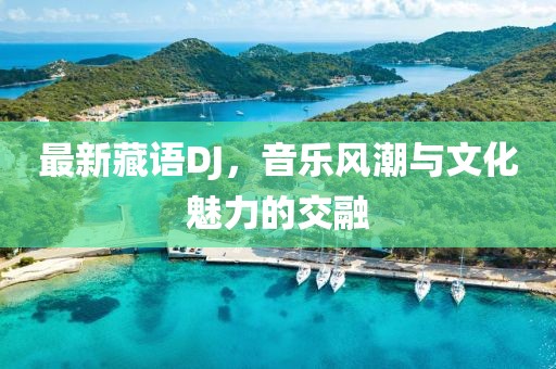 最新藏语DJ，音乐风潮与文化魅力的交融
