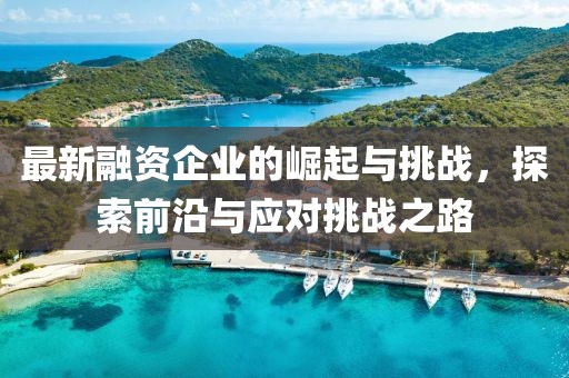 最新融资企业的崛起与挑战，探索前沿与应对挑战之路